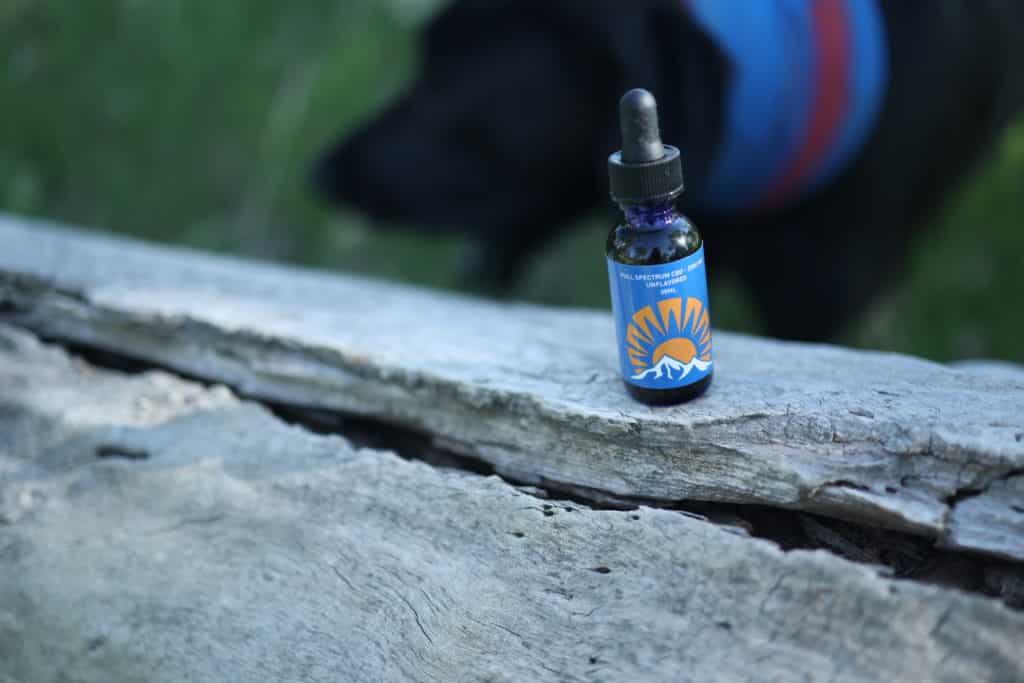 CBD Oil for Dogs