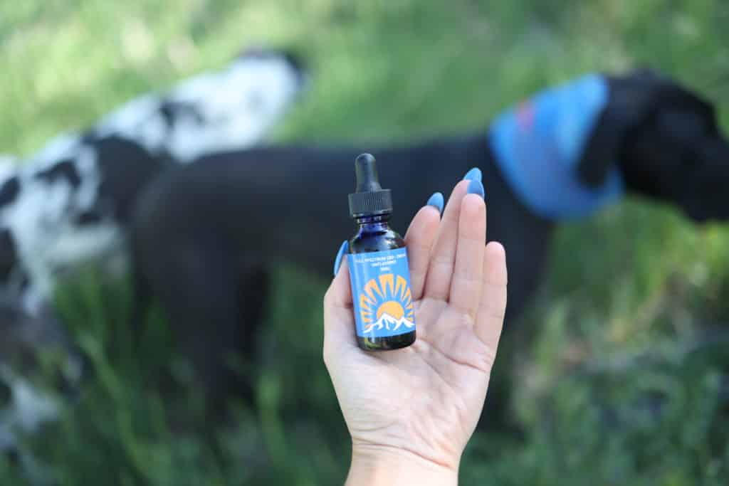 CBD Oil for Dogs