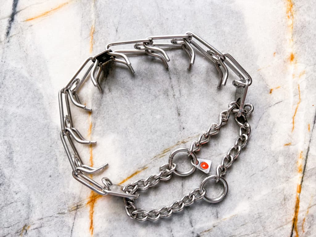 The Best Prong Collar for a Great Dane: Everything You Need to Know 3 The Best Prong Collar for a Great Dane