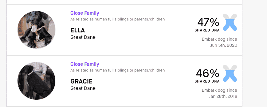 Embark DNA Review: Worthwhile or Waste of Time? 6 Things I Learned! 11 Screen Shot 2022 06 02 at 9.35.02 AM