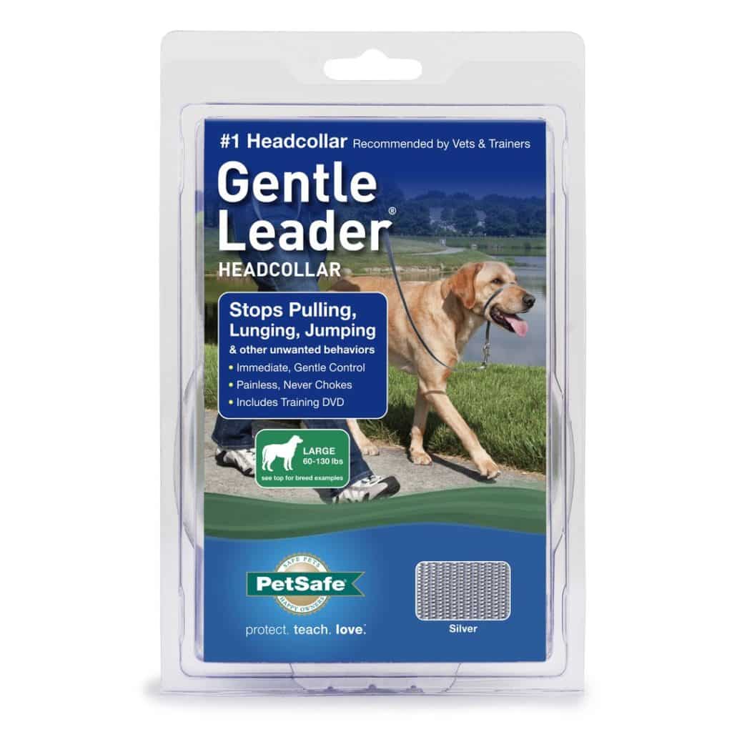 My Review of the Gentle Lead Head Harness 2 Gentle Lead