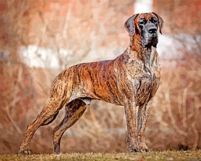 great dane brindle colour dog paint by number