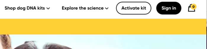 Embark DNA Review: Worthwhile or Waste of Time? 6 Things I Learned! 7 Embark DNA Review