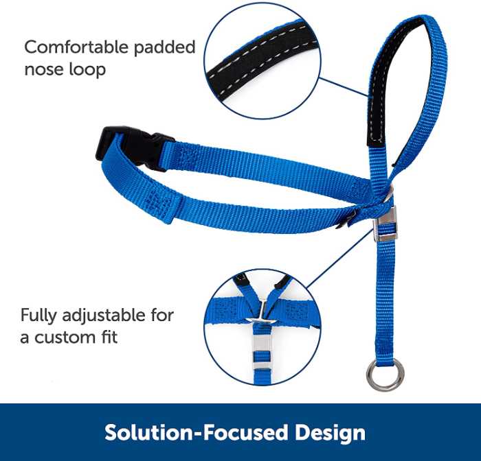 My Review of the Gentle Lead Head Harness 5 Gentle Lead