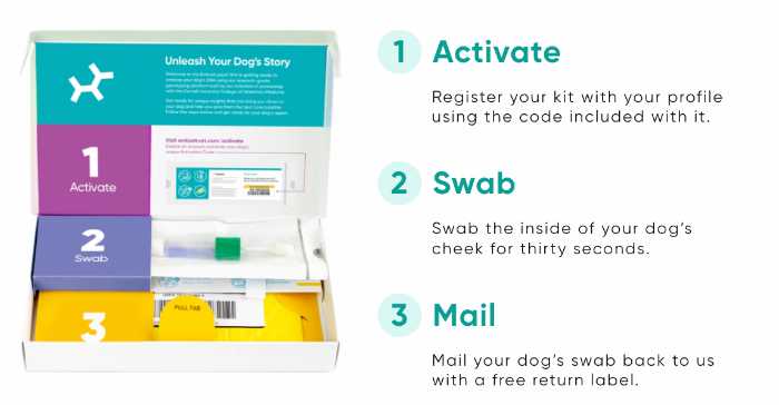 Embark Dog DNA Test: Their best life starts with Embark.