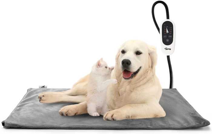 WHAT TEMPERATURE IS IDEAL FOR GREAT DANE? GREAT DANE TEMPERATURE AND WEATHER REQUIREMENTS 11 image 57