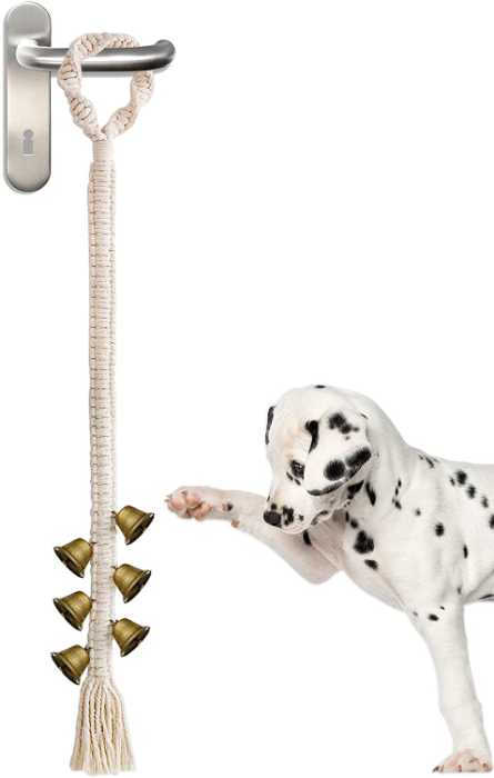 Housebreaking Great Dane Puppies: 10 Realistic Action Steps 9 image 62