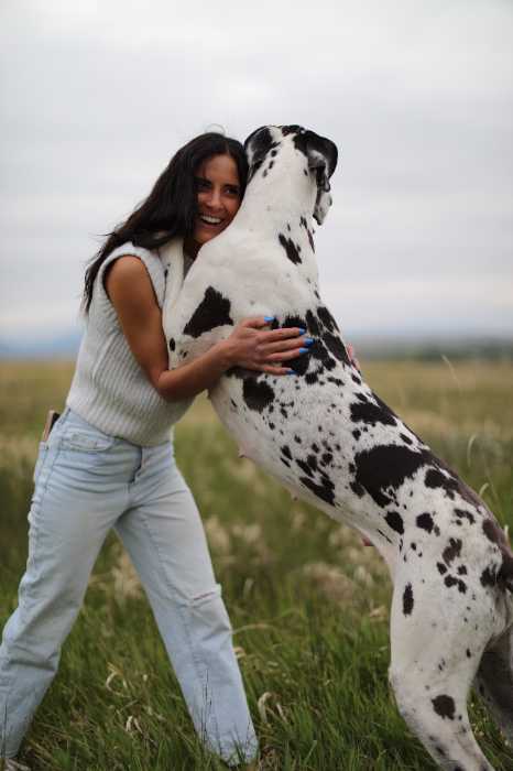The 10 Most Adorable Great Dane Pictures 8 GREAT DANE PICTURES