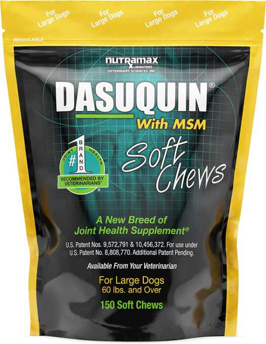 Magnificent Fawn Great Danes: 7 Awesome Things to Buy for a Fawn Great Dane 9 image 98