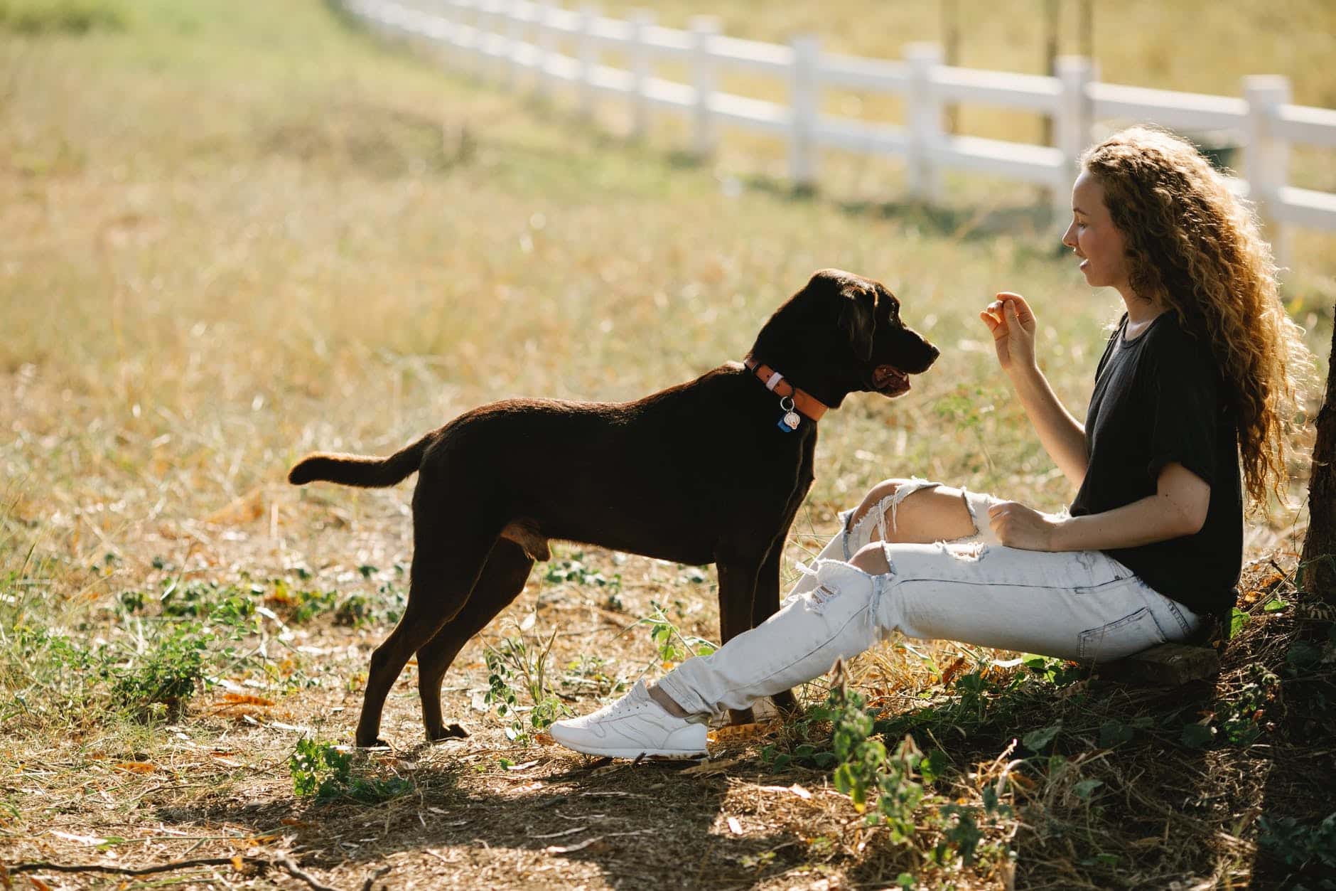 Gentle Leader vs. Prong Collar: Which is Better for Your Dog? 14 woman with labrador on grassy lawn