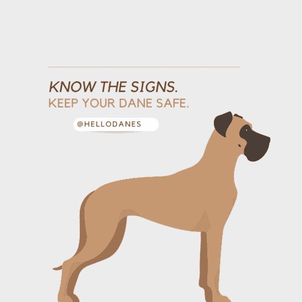 Dog Bloat and Torsion Is a Dog Stomach Flip Deadly? Hello Danes