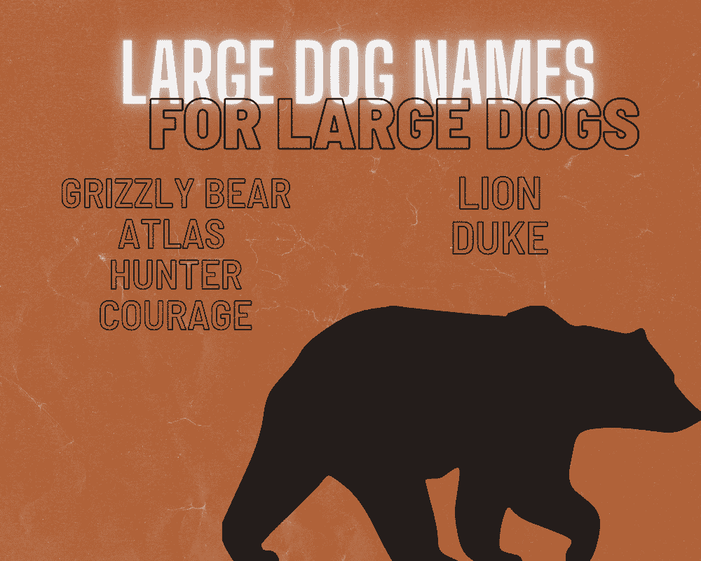 The Most Popular Big Dog Names: Unique Names for Your Giant Dog 8 Big Dog Names