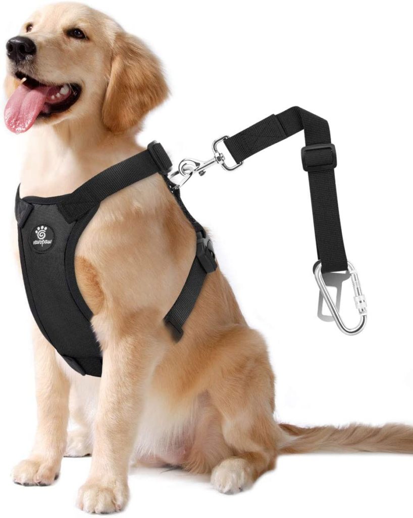 11 Ways to Calm Dog Anxiety in Car Rides 10 61dPdEPidL. AC SL1200