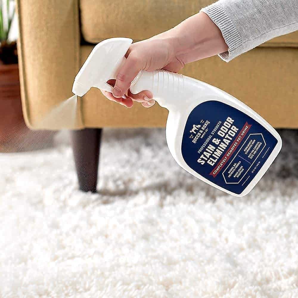 How to Keep Your House from Smelling Like a Dog 29 61g5ACSe HL. AC SL1000