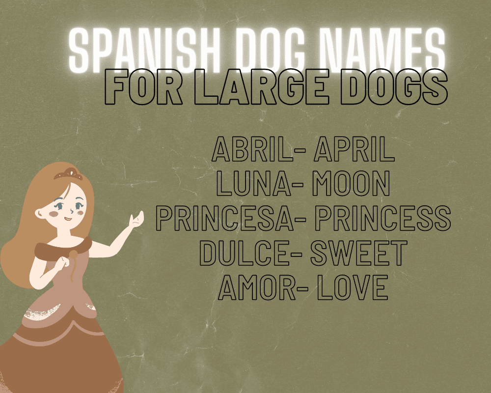 The Most Popular Big Dog Names: Unique Names for Your Giant Dog 9 Big Dog Names
