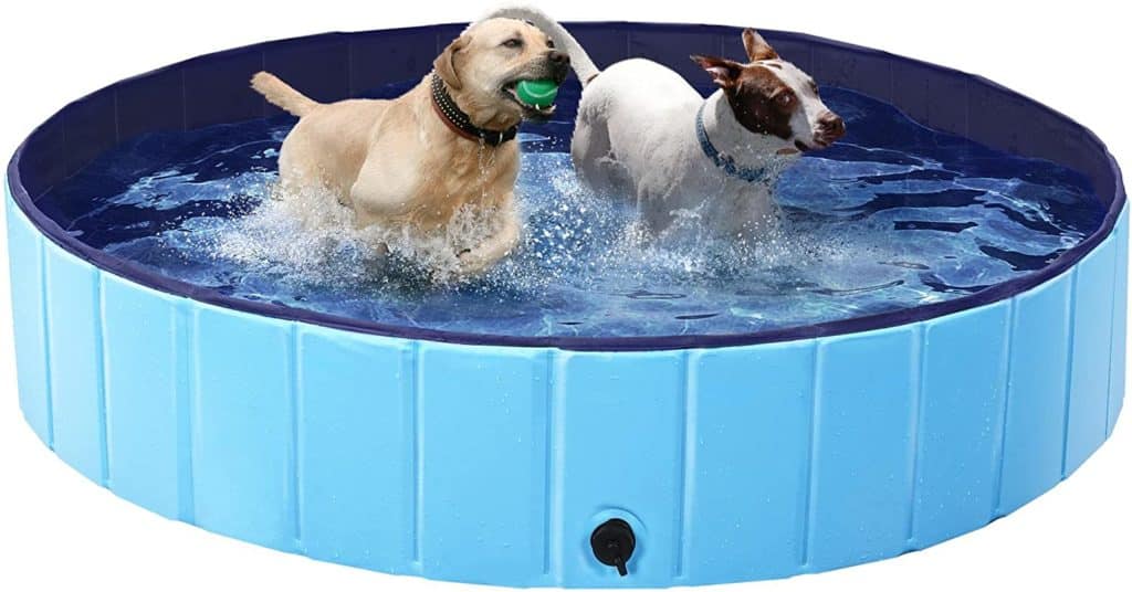 Can Great Danes Swim? 5 Fascinating Things To Know Before Taking a Dip with Your Great Danes 13 71NcAcMrasL. AC SL1500
