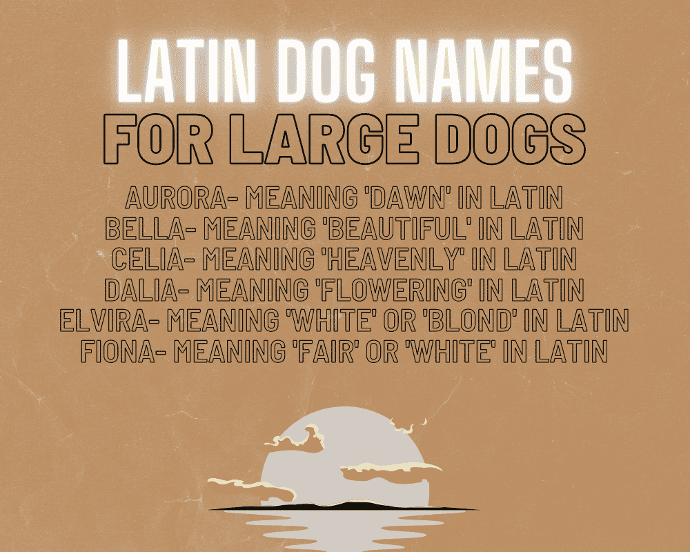 The Most Popular Big Dog Names: Unique Names for Your Giant Dog 10 Big Dog Names