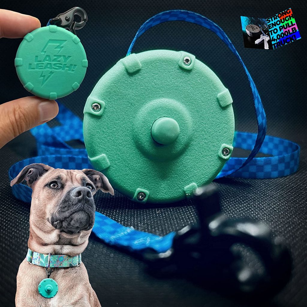 10 Dog Road Trip Essentials for a Safe and Fun Journey 9 91Jd6HoEIWL. AC SL1500 1