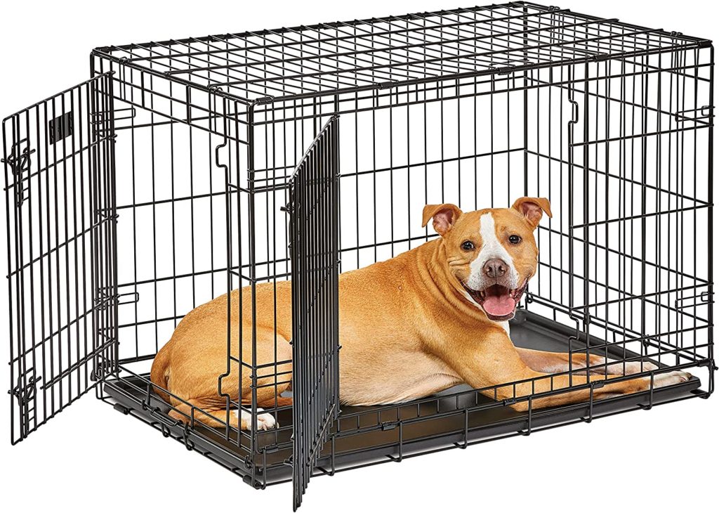 Signs of Stress in Dogs: How to Help An Anxious Dog 17 91wkf8wMsYL. AC SL1500