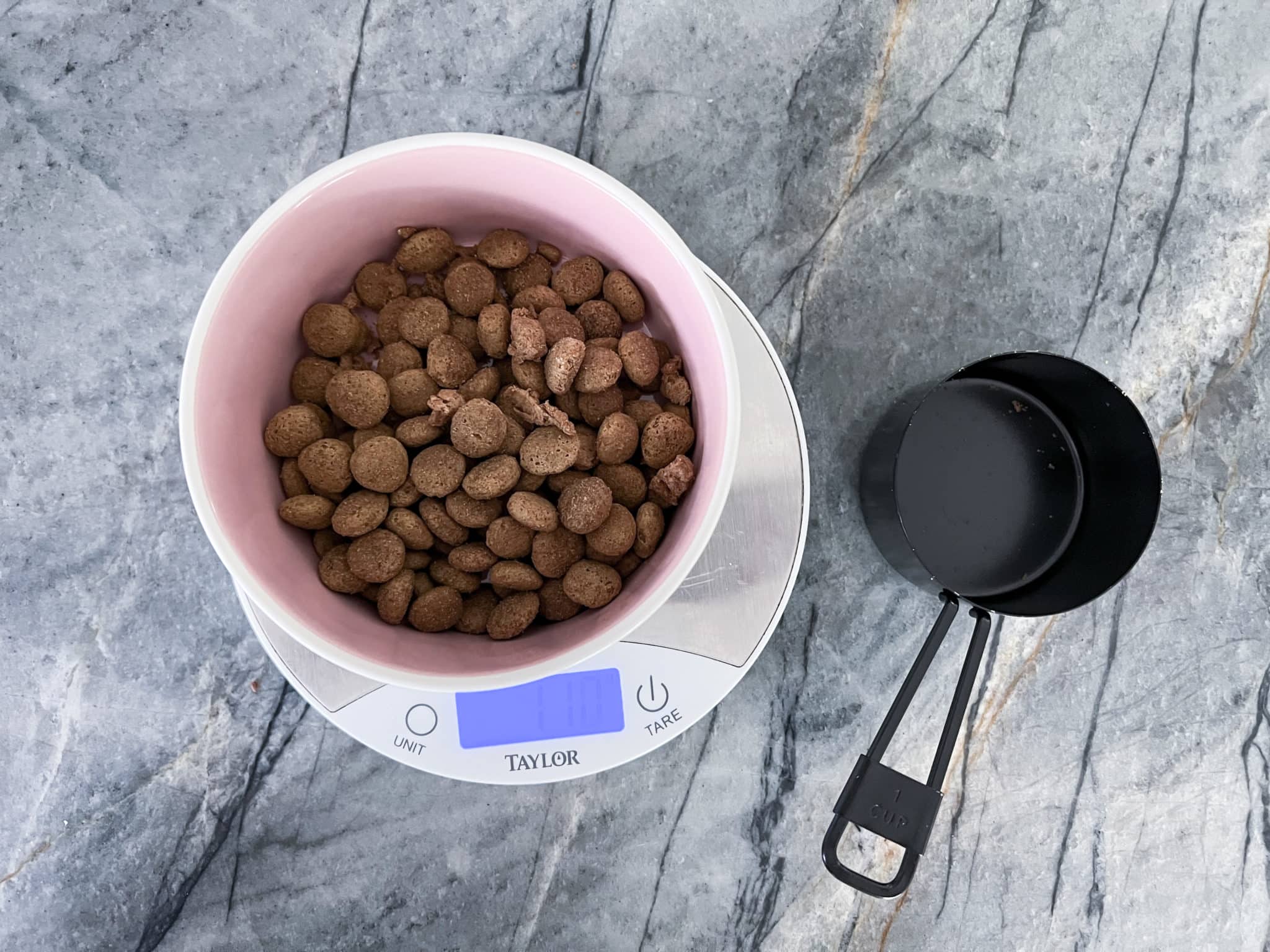 How Do I Stop Free Feeding My Dog