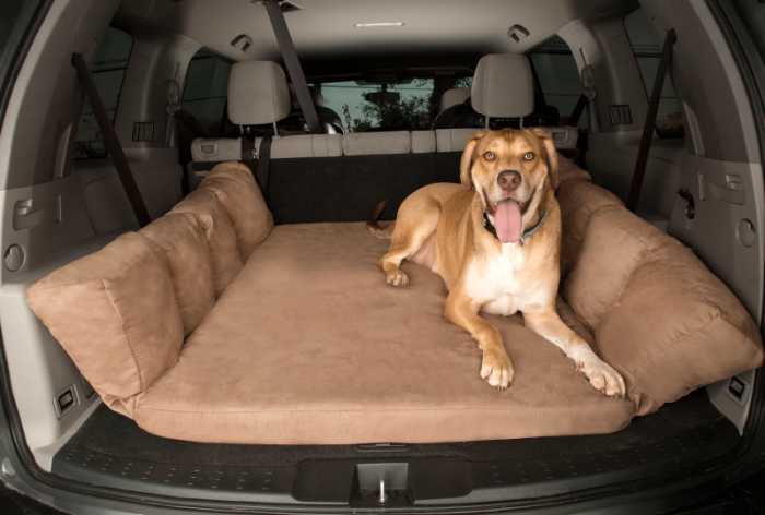 11 Ways to Calm Dog Anxiety in Car Rides 17 image 19