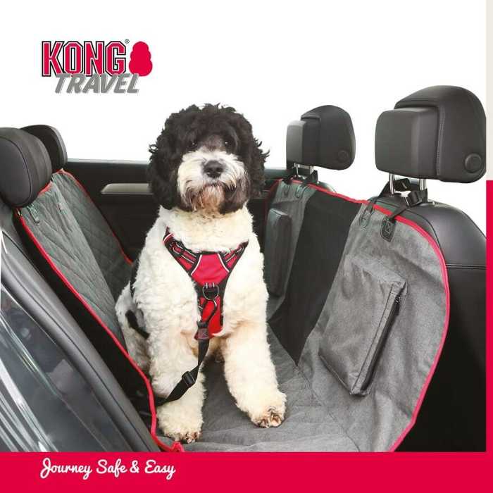 11 Ways to Calm Dog Anxiety in Car Rides 12 image 21