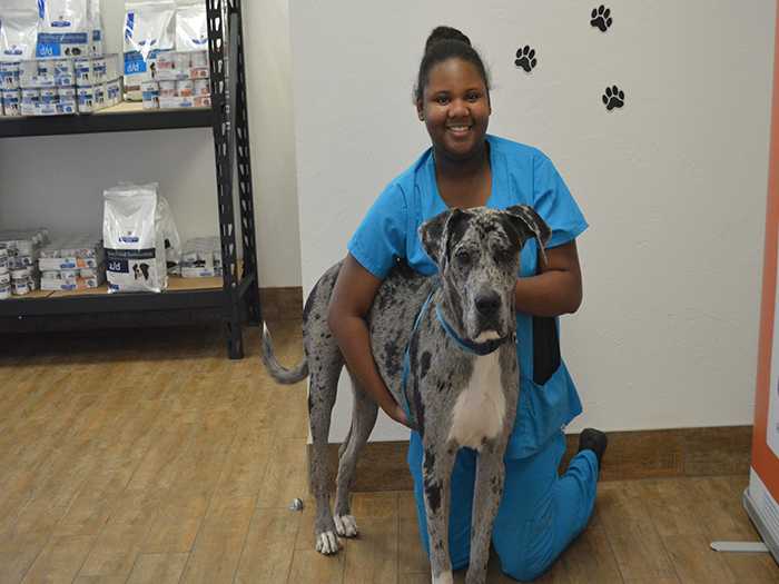 Dogs Scared of Vet? Here's How to Help Them Overcome Their Fear 10 Dogs Scared of Vet