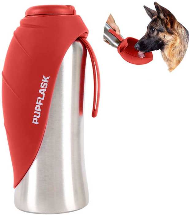 10 Dog Road Trip Essentials for a Safe and Fun Journey 5 image 68