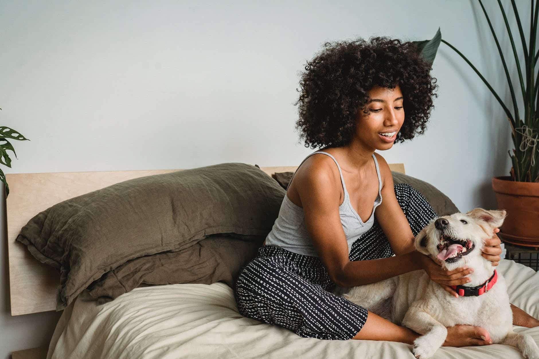 How to Keep Your House from Smelling Like a Dog 2 How to keep your house from smelling like a dog
