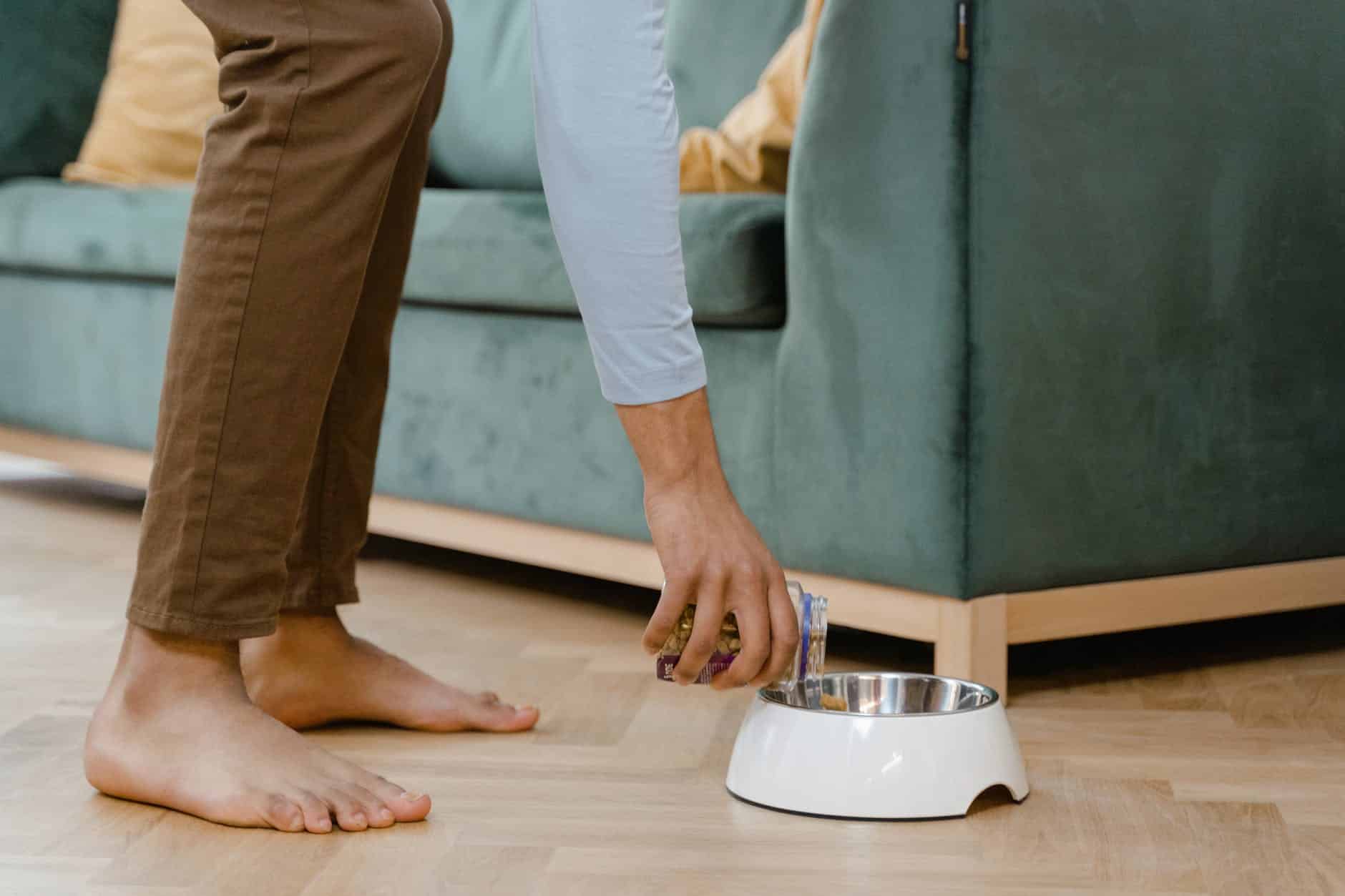 How to Stop Overfeeding Your Dog: 5 Tips & Tricks 3 a person putting food on a dog bowl