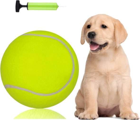 Giant Breed Dog Toys The Best Options for Your Powerful & NotSo