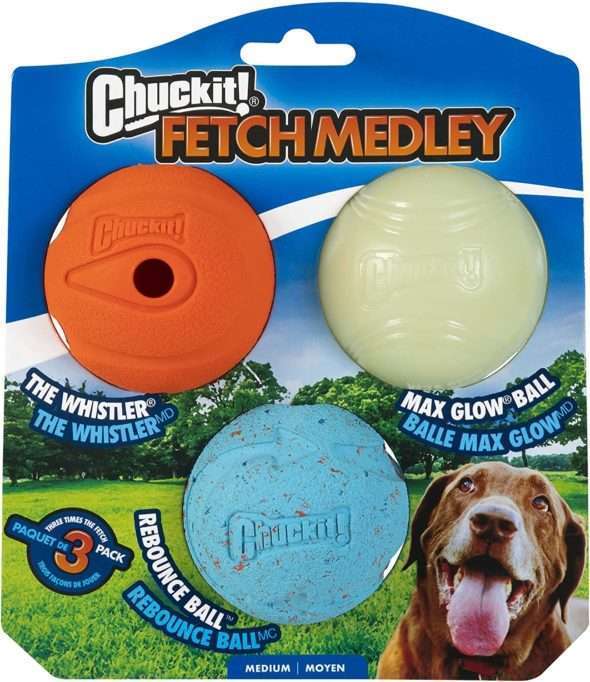 Giant Breed Dog Toys The Best Options for Your Powerful & NotSo