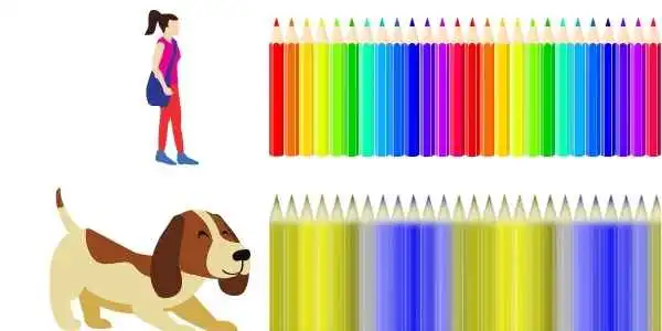 Can Dogs See in Color? The 2 Colors That Dogs Can See & The Fascinating Truth Behind It 4 Can Dogs See in Color