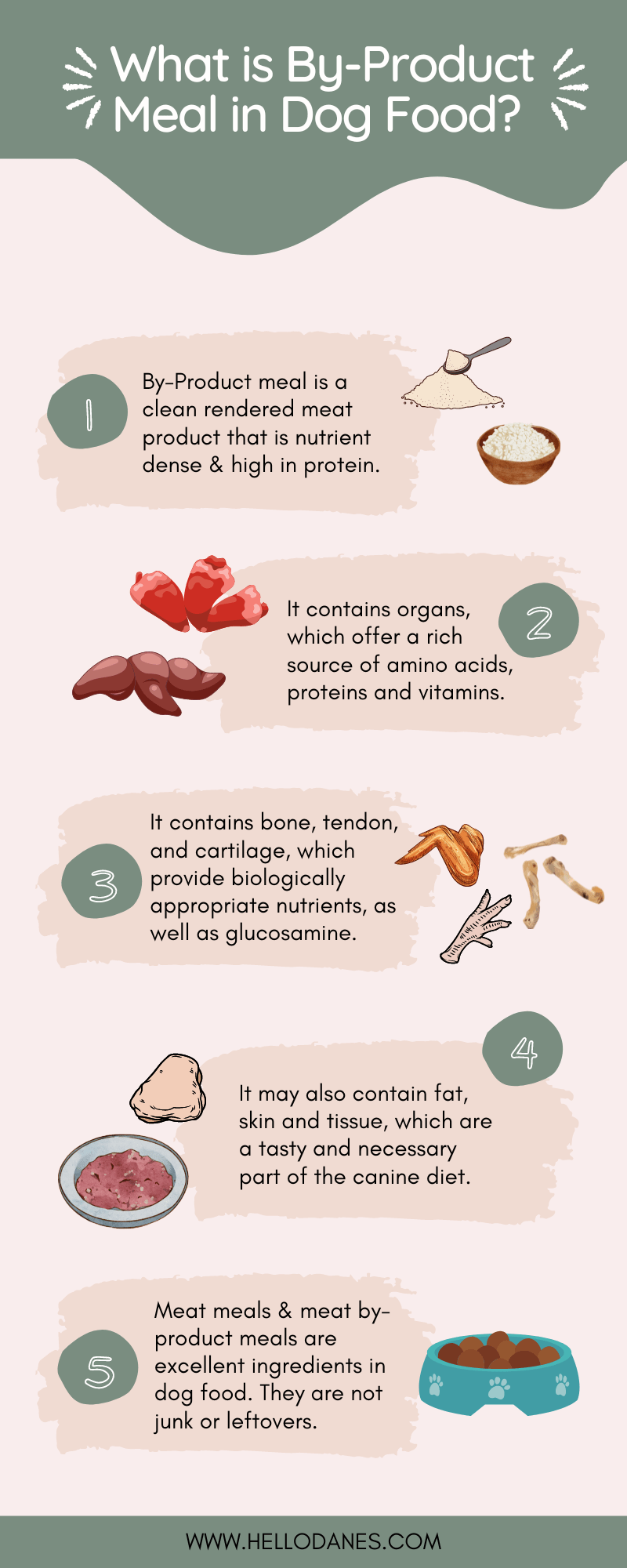 The Ultimate Great Dane Feeding Chart 15 What are By Products in Pet food 2