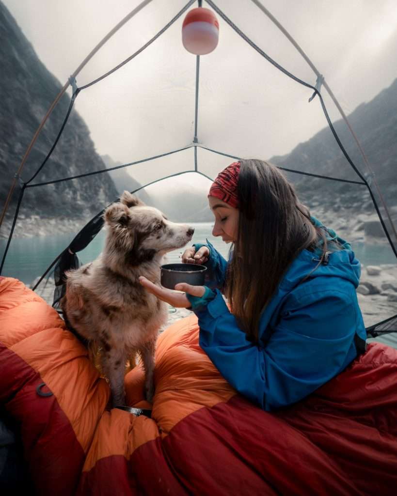 Dog Bite Prevention: How to Avoid a Dog Attack 10 Dog Bite Prevention