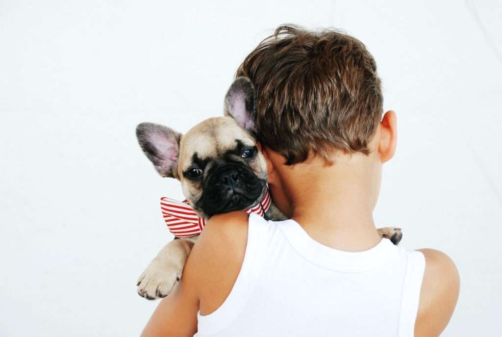 Dog Bite Prevention: How to Avoid a Dog Attack 8 Dog Bite Prevention