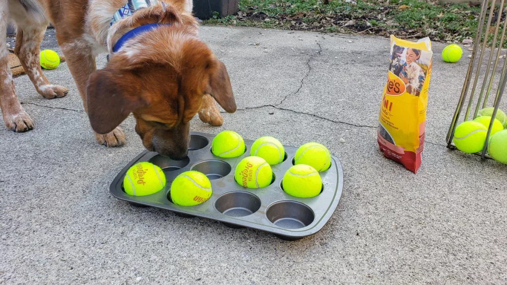 Muffin Tin Game Cheerful Hound 013 1200x1200