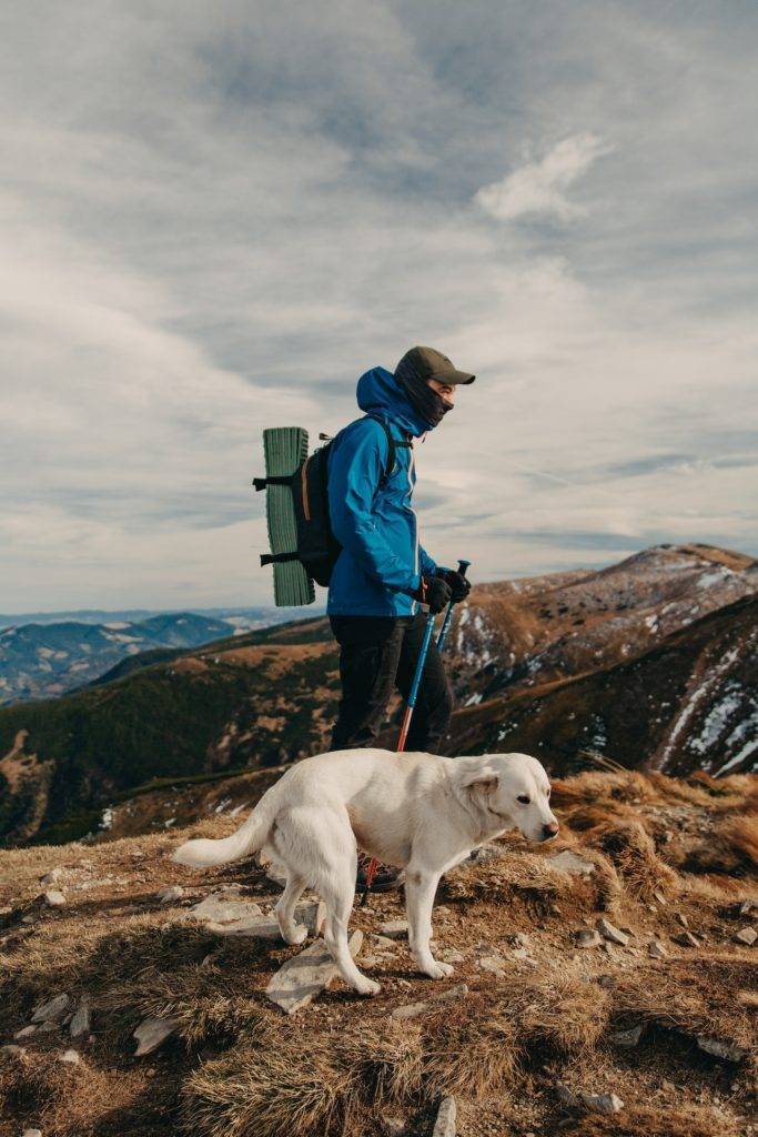 Dog Hiking Gear