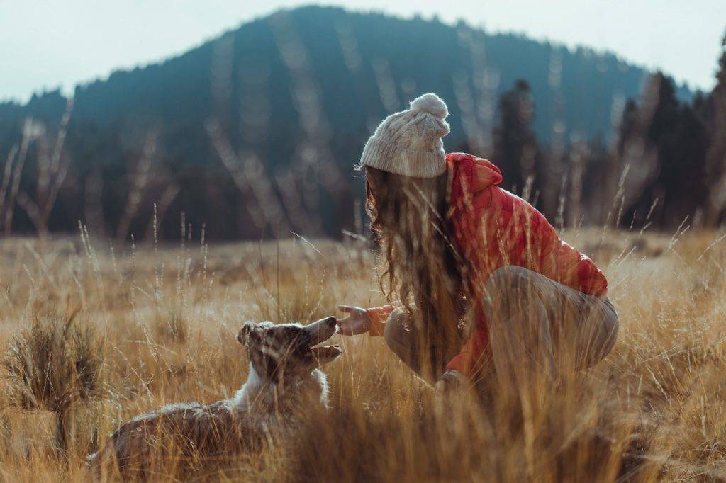 Dog Hiking Gear