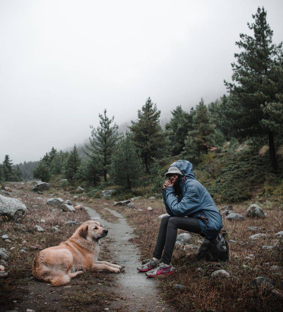 Dog Hiking Gear