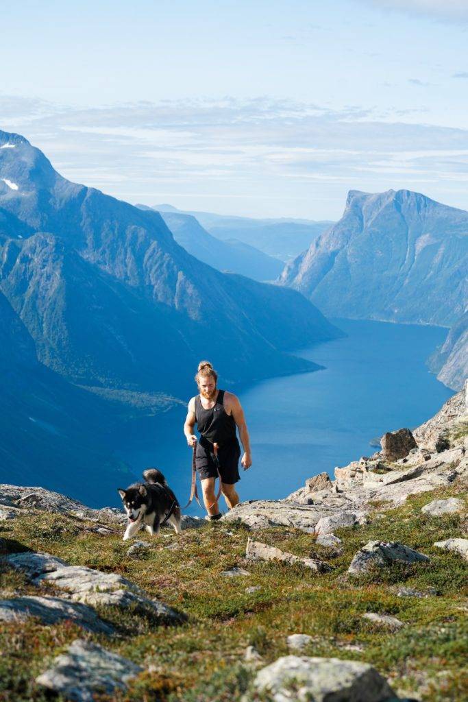 Dog Hiking Gear