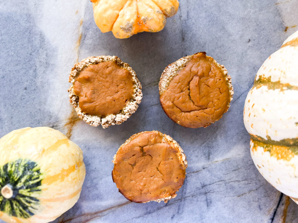 Great Dane Dog Pumpkin Pie Recipe for Thanksgiving 8 IMG 7342