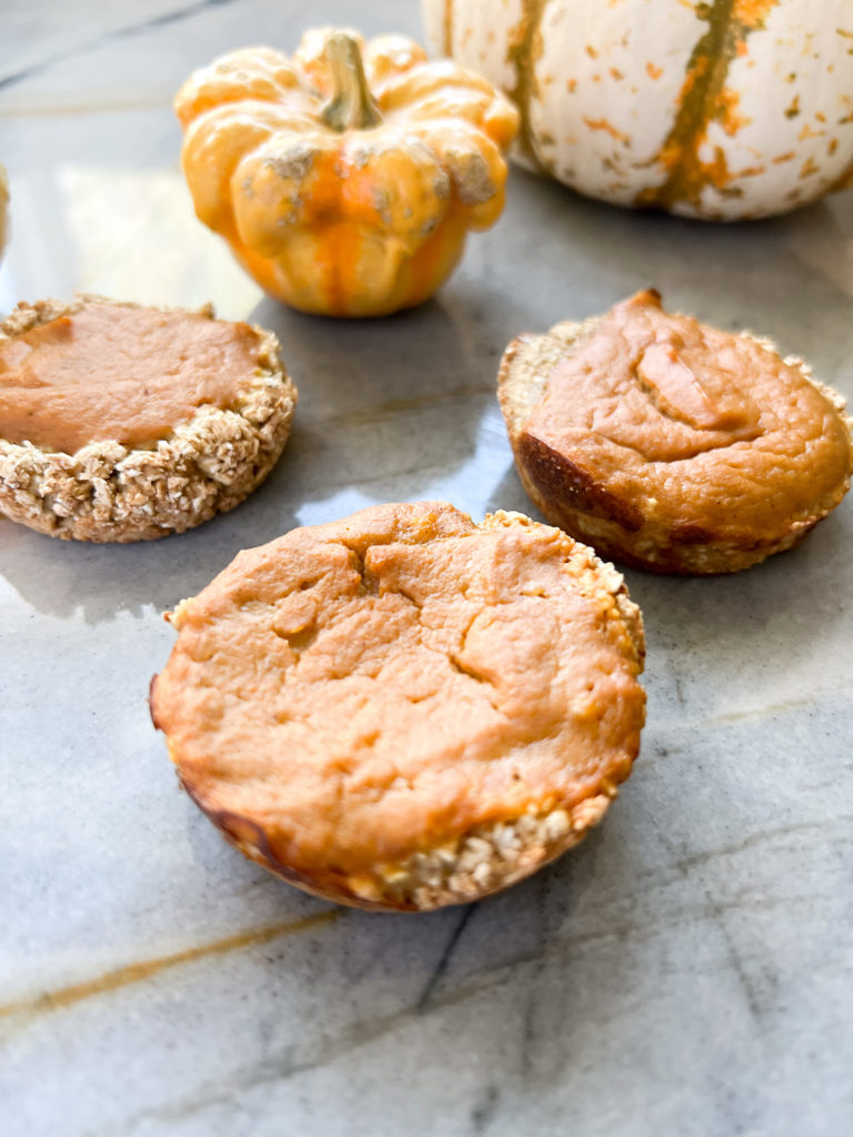 Great Dane Dog Pumpkin Pie Recipe for Thanksgiving 3 Dog pumpkin pie recipe