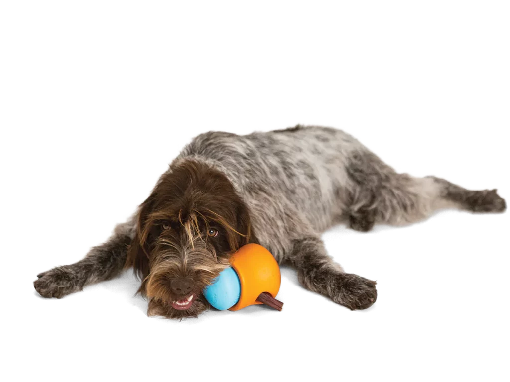 West Paw Toppl Dog Toy