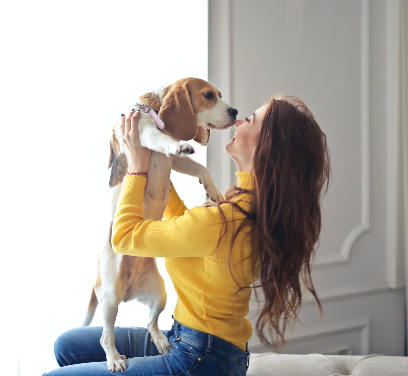 5 Big Reasons to Have Your Dog’s Teeth Cleaned by a Veterinarian 6 woman in yellow sweater holding brown and white short coated dog