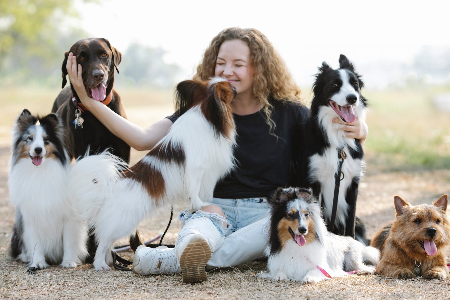 5 Big Reasons to Have Your Dog’s Teeth Cleaned by a Veterinarian 20 papillon licking face of woman stroking labrador retriever in nature