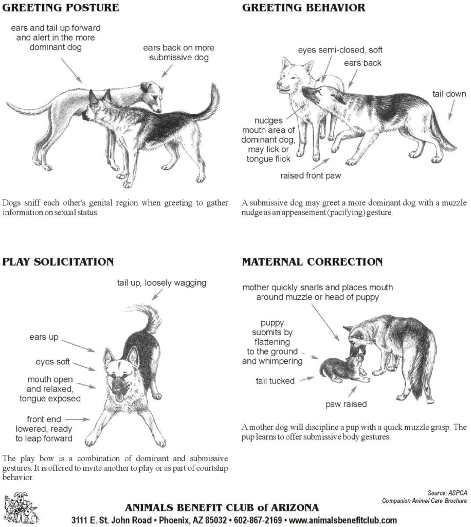 107 Figure36 1