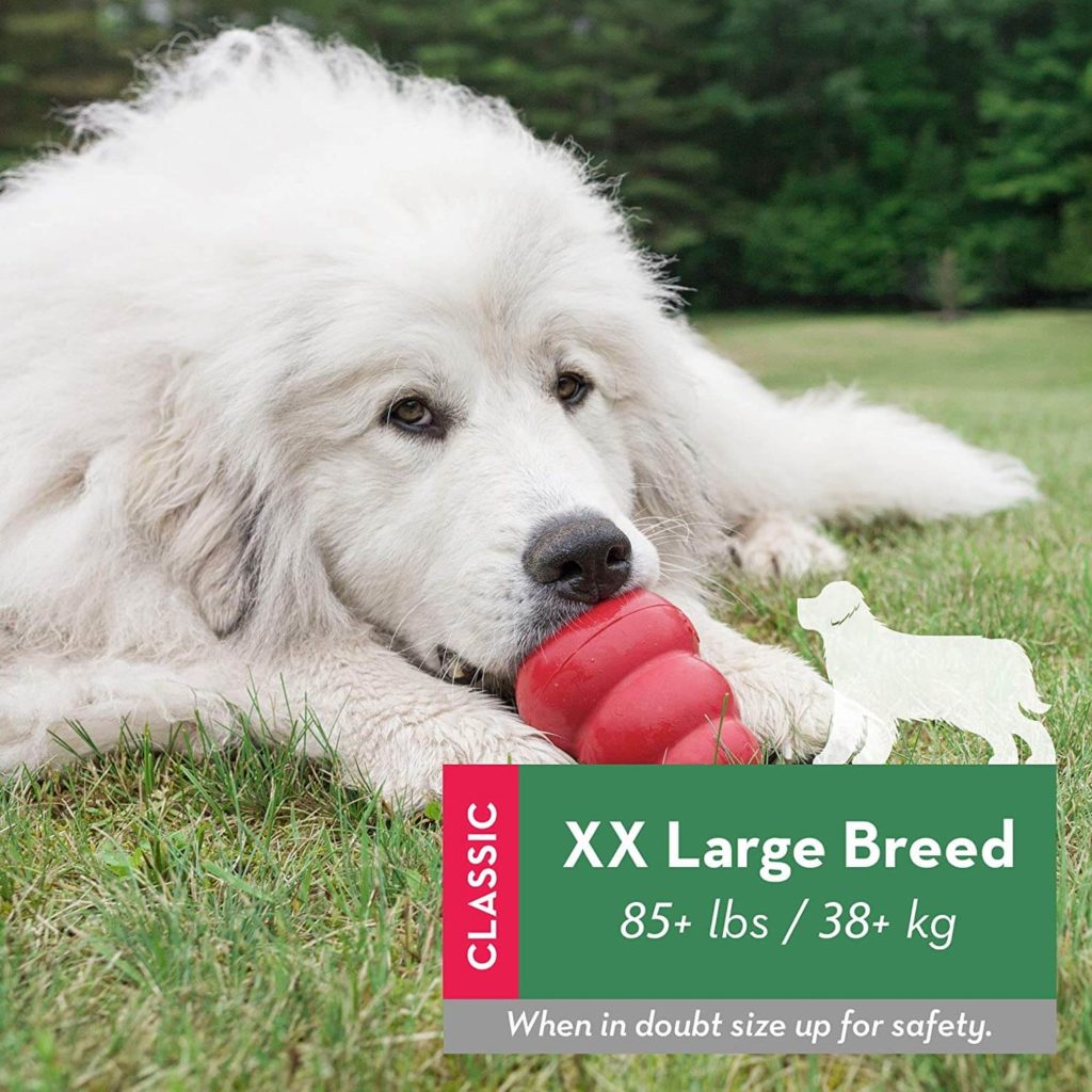 The Best Dog Chews Recommended by Vets 9 81bZxDxltfL. AC SL1500 1