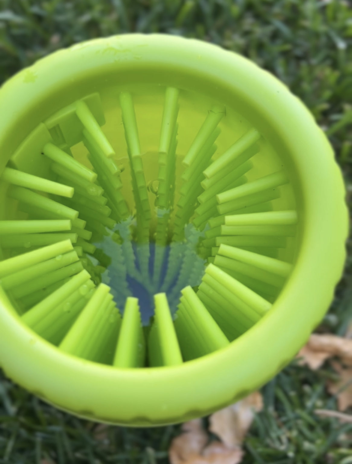 My Personal and Unbiased Review of the Insane Dexas Petware Mudbuster