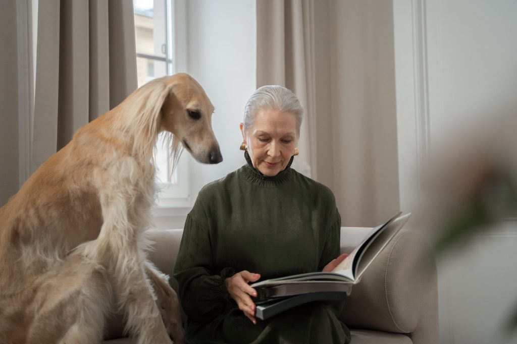 greyhound dog watching elderly owner reading book